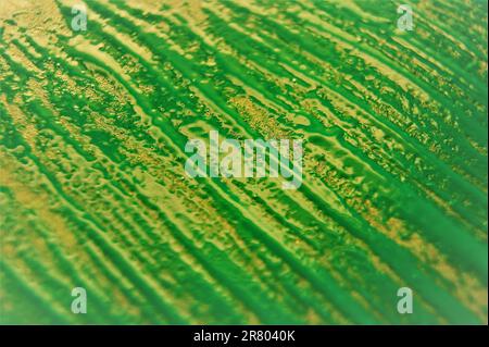 Green abstract background with diagonal stripes. Wet paint. Stock Photo