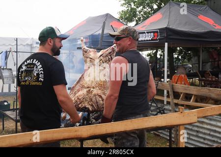 Black Deer Festival, Kent, UK - 18th June Gospel brunch at Black Deer Festival, Eridge Park, Kent. Credit Jill O'Donnell/Alamy Live News Stock Photo