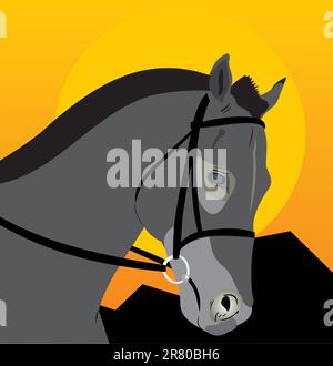 Wild horse. Head of a horse. Night landscape Stock Vector