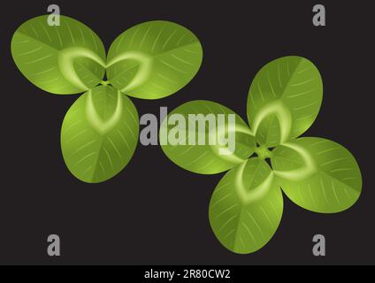 Green Clover vector Stock Vector