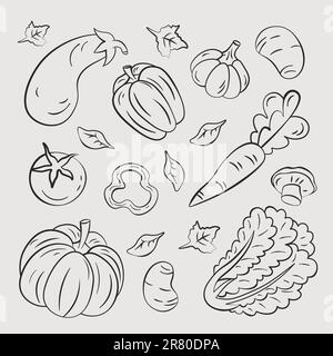 vegetables, hand drawn illustrations, pumpkin cabbage carrot vector Stock Vector