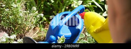 Woman pours liquid mineral fertilizer into watering can for garden plants Stock Photo