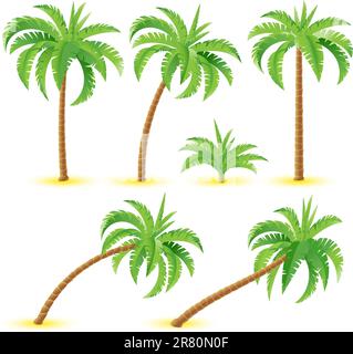 Coconut palms. Illustration on white background for design Stock Vector