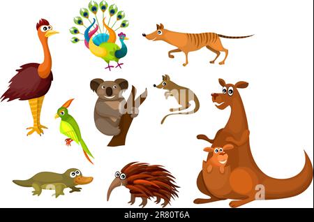 vector illustration of a cute Australian animals Stock Vector