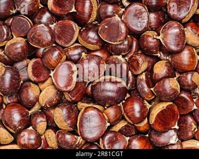 solid fresh ripe chestnuts, top view, background Stock Photo