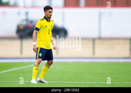 Cardiff, UK. 18th June, 2023. Alexander Hughes of Sweden in action. Wales v Sweden in an u19 International Friendly at Leckwith Stadium on the 18th June 2023. Credit: Lewis Mitchell/Alamy Live News Stock Photo