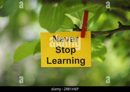 A yellow paper note with the words Never Stop Learning on it attached to a tree branch with a clothes pin. Close up. Stock Photo
