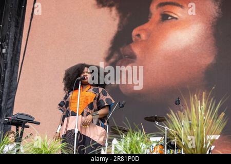 Manchester, USA. 17th June, 2023. Danielle Ponder during the Bonnaroo Music and Arts Festival on June 17, 2023, in Manchester, Tennessee (Photo by Daniel DeSlover/Sipa USA) Credit: Sipa USA/Alamy Live News Stock Photo