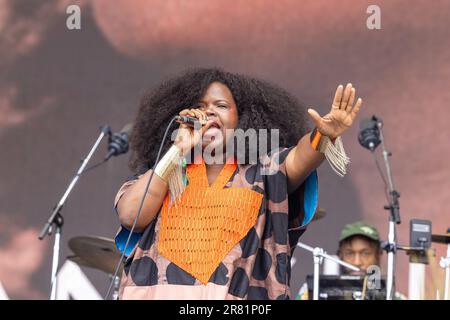 Manchester, USA. 17th June, 2023. Danielle Ponder during the Bonnaroo Music and Arts Festival on June 17, 2023, in Manchester, Tennessee (Photo by Daniel DeSlover/Sipa USA) Credit: Sipa USA/Alamy Live News Stock Photo