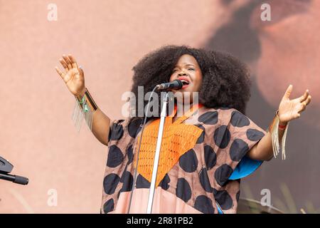 Manchester, USA. 17th June, 2023. Danielle Ponder during the Bonnaroo Music and Arts Festival on June 17, 2023, in Manchester, Tennessee (Photo by Daniel DeSlover/Sipa USA) Credit: Sipa USA/Alamy Live News Stock Photo