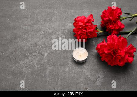 Red carnations and candle on dark grunge background Stock Photo