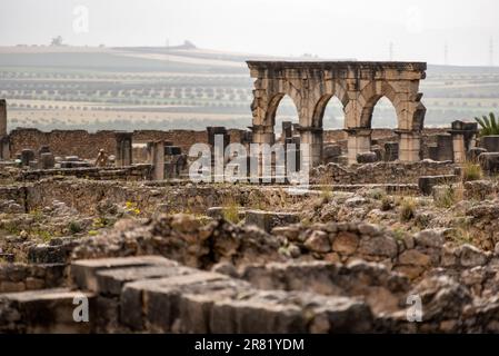 Ruins of the ancient Roman town of Volubilis in Morocco, North Africa Stock Photo