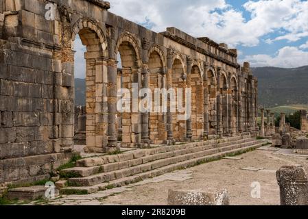 Iconic ruins of the forum in Volubilis, an old ancient Roman city in Morocco, North Africa Stock Photo
