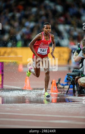 Winfred Mutile YAVI participating in the 3000 meter steeplechase at the ...