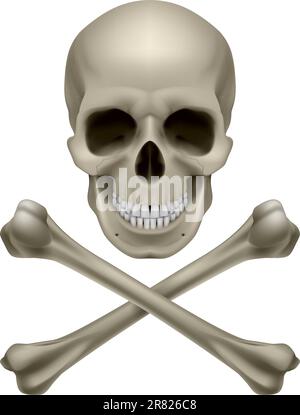 Skull and crossbones. Illustration on white background Stock Vector