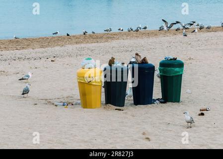 Garbage or rubbish on beach with plastic and bottles spilling over with seagulls in background. Stock Photo