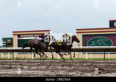 Shakopee, Minnesota. Canterbury Park. Horses racing with all four feet off the ground. Stock Photo