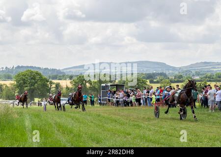 Vickerstown, Co. Laois, Ireland. 18th June, 2023. The Irish Harness Racing Association (IHRA) held the first ever race meeting in Vickerstown today. A 9 race card proved popular with a large crowd of spectators. Winner of the fourth race was 'Blazin Hanover', driven by Darren Timlin. Credit: AG News/Alamy Live News Stock Photo