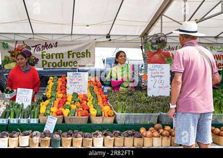 St. Jacobs Farmers Market Fruit and Vegetable Vendors, Ontario, Canada Stock Photo