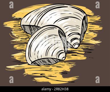 colored sketch of two seashells on the sand in vintage style Stock Vector