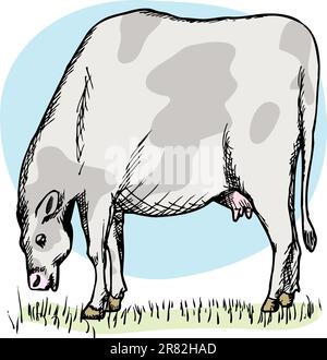 Illustration of cow in a field Stock Vector Image & Art - Alamy