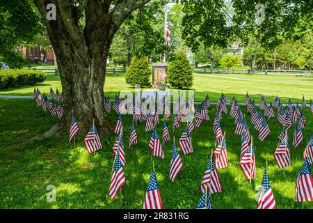 American flags set up on the Town Common in Barre to celebrate Memorial Day Stock Photo