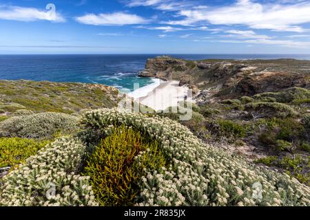 Dias Beach at the Cape of Good Hope - near Cape Town, South Africa Stock Photo