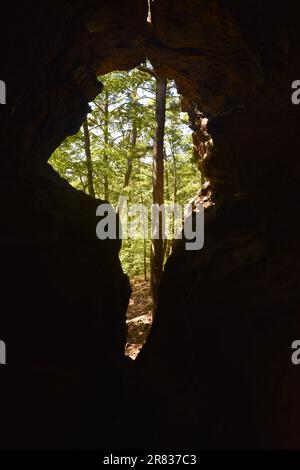 Looking out of some of the openings in the caves at Pedestal Rocks, Pelsor, Sand Gap, Witts Springs, Arkansas, Ozark-St Francis National Forest Stock Photo