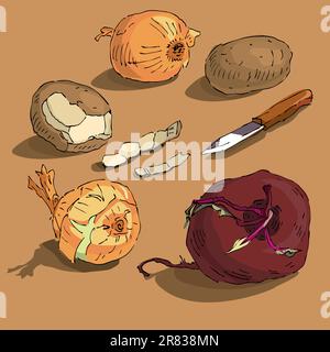 Root crops - a beet, a potato and an onions. Stock Vector