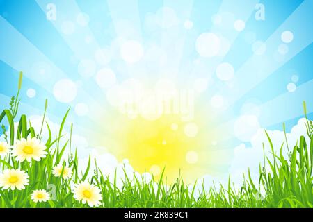 Green Summer Background with Sun Grass Clouds and Flowers Stock Vector