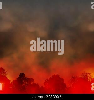 Editable vector EPS10 illustration of a smoky forest fire made using a gradient mesh Stock Vector