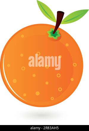 Orange for your design. Vector Illustration Stock Vector
