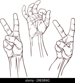Set of three Victory and OK symbol hands. Vector illustration Stock Vector