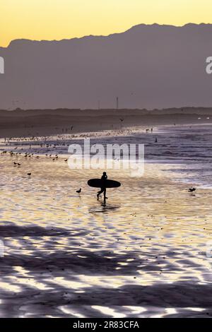 Surfer at sunrise on Muizenberg beach near Cape Town, South Africa Stock Photo