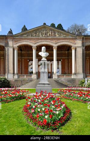 Northern Black Forest, Baden-Baden, Trinkhalle, Tulip blossom in springtime Stock Photo