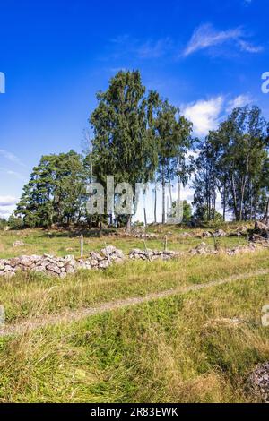 Dirt road by a stone wall in the countryside Stock Photo
