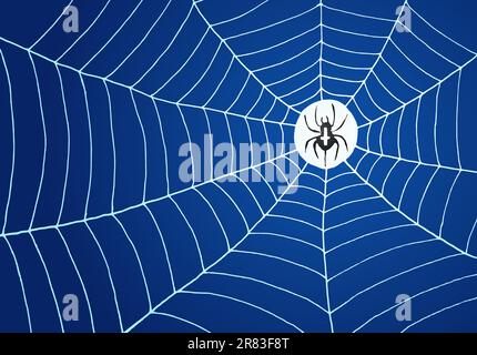Spider in the middle of white net on blue background Stock Vector