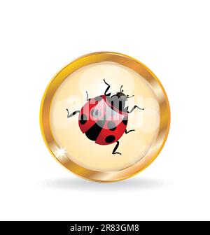 Illustration golden circle label (button) with ladybug - vector Stock Vector