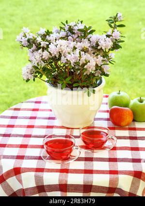 Two cups of tea served in the garden Stock Photo