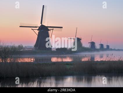 One morning in Kinderdijk near Rotterdam, Netherlands Stock Photo