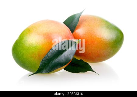 Ripe mango fruits with leaves isolated on white background Stock Photo