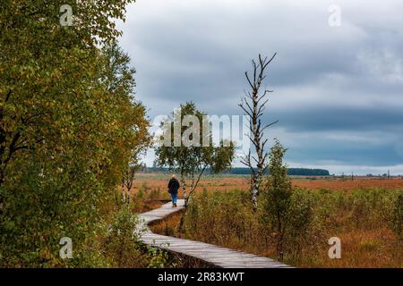 Strollers in nature reserve High Fens, Belgium Stock Photo