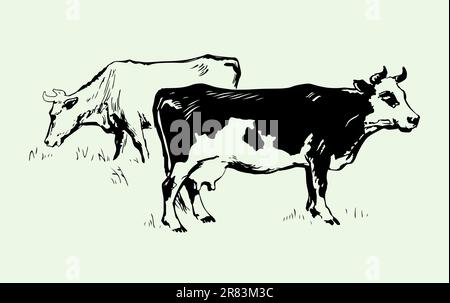 Two cows on color background Stock Vector