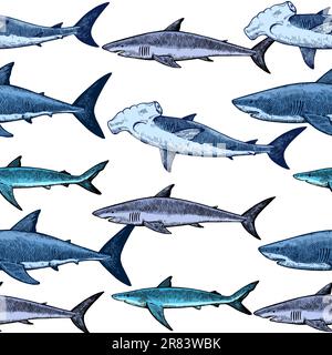 Seamless pattern with various sharks, great white shark, hammerhead shark and other. Vector illustration in engraving vintage style. Stock Vector