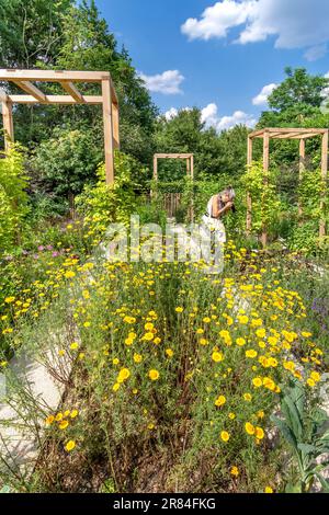 'Le Jardin Patchwork' / ' The Patchwork Garden' ornamental display at the Domaine de Chaumont-sur-Loire, Loir-et-Cher (41), France. Stock Photo