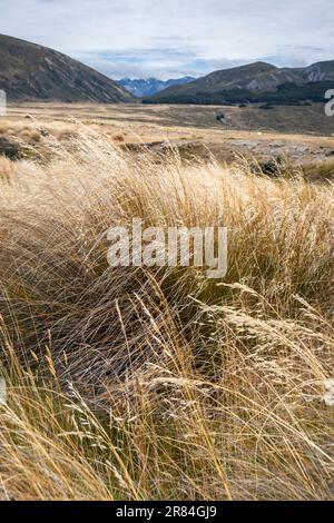 Tussock Rocks Tussock covered plains and mountains, Lake Tennyson, near Hanmer ...