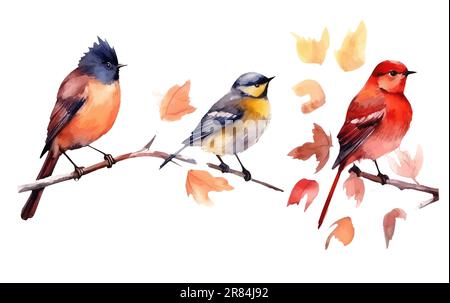 watercolor set vector illustraton of bird on a branch isolated on white background Stock Vector