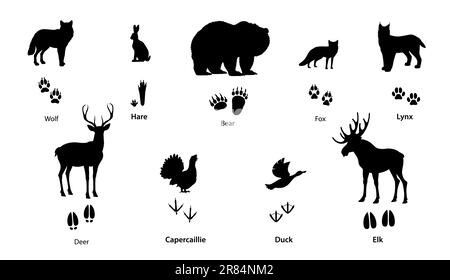 Forest animal and bird silhouettes with footprints. Vector foot prints of wolf, bear, fox, lynx and hare paws, isolated black tracks of deer, elk or moose hooves, duck and capercaillie feet Stock Vector