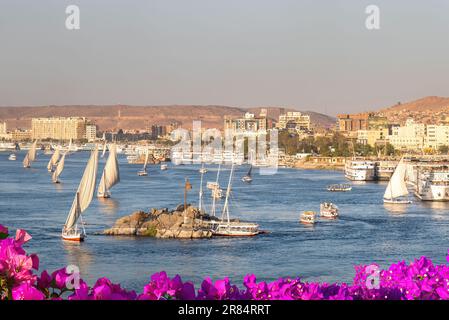 Aswan, Egypt; June 19, 2023 - Feluccas on the River NIle, Aswan, Egypt. Stock Photo