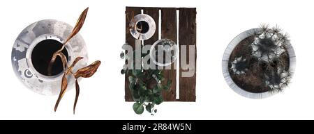 decorative flowers and plants for the interior, top view, isolated on white background, 3D illustration, cg render Stock Photo